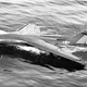 A radio-controlled model of the Convair Skate, Convair’s first foray into a waterborne jet fighter. (Author unknown)